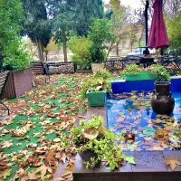 نیروی کار فست فود  (ظرفشور)