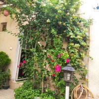 خانه ویلایی