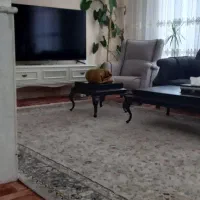 سمساری  افشین|عمده‌فروشی|مشهد, ابوذر|دیوار