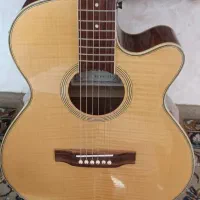 گیتار حرفه ای zinn پیکاپدار