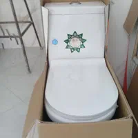 فرنگی پشت بلند