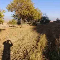 ۳هکتار زمین کشاورزی|فروش زمین و ملک کلنگی|نوبران, |دیوار