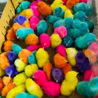 جوایز بلوبانک