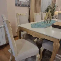 مبلمان و نهارخوری ۸ نفره و میز عسلی و جلو مبلی|مبلمان خانگی و میز عسلی|رشت, کاکتوس|دیوار