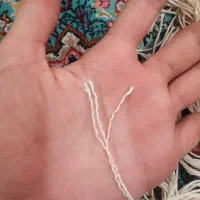 فرش دستباف نو|فرش|بجنورد, |دیوار
