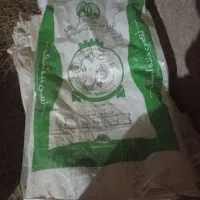 کیسه علوفه|لوازم جانبی حیوانات|قوچان, |دیوار