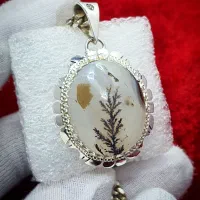 گردنبند شجر تکدرخت