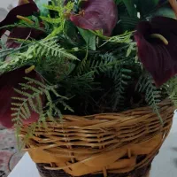 سبد و گل مصنوعی|گل مصنوعی|تهران, شهرک ولیعصر جنوبی|دیوار