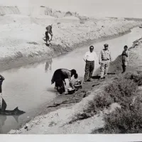 آلبوم عتیقه|کلکسیون اشیاء عتیقه|تهران, توحید|دیوار