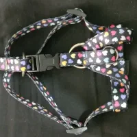 قلاده|لوازم جانبی حیوانات|مشهد, دانشجو|دیوار