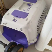 گربه فروشی|گربه|اردبیل, |دیوار