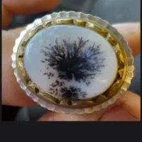 شجر،منظره برفی زمستانه ،کارکمیاب خاص|جواهرات|خرمآباد, |دیوار