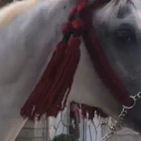 کلهگیر عربی دستساز پشم خالص