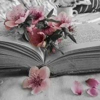 تدریس و آموزش زبان انگلیسی و تمام دروس.|خدمات آموزشی|تبریز, |دیوار