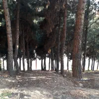 فروش آپارتمان ۱۵۰ متری ۴ خوابه در مهدیه