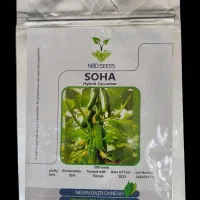 بذر خیار سها رقم مینی