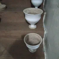 چندعددگلدان|گل و گیاه طبیعی|نیر (یزد), |دیوار