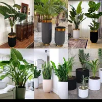 رسیدگی گل آپارتمانی ویزیتورتعویض خاک گلدان و باغچه