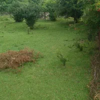 ۱۰۰۰ متر زمین مسکونی دوبر