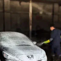 کارگرماهر کارواش