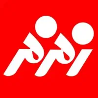 ویزیتور