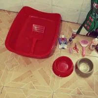 وسایل گربه 3 ملیون همگی باهم