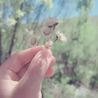 طلا رایگان واقعی