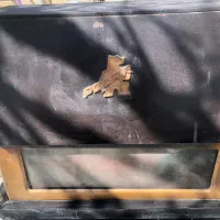 بخاری پلار سالم