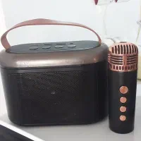 اسپیکر‌سالم