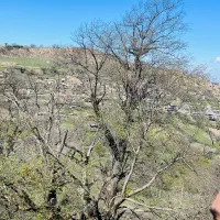 زمین