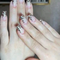 کاشت حرفه ای/تخفیف