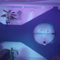 واگذاری کافه در تاپ لوکیشن فسا