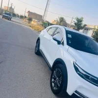 دیگنتی 1404 در حد خشک