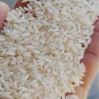 برنج عنبر بو