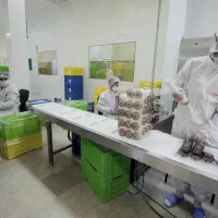 استخدام نیروی انسانی در شرکت داروسازی