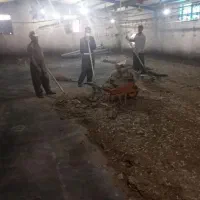 کود مرغی گوشتی خشک سالنی|خدمات باغبانی و درختکاری|دزفول, |دیوار