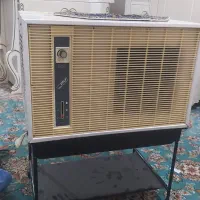 سالمه سالمه در حد