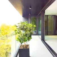 205متر*نگین الهیه*تک واحدی*سند تک برگ*مدرن|فروش آپارتمان|مشهد, الهیه|دیوار