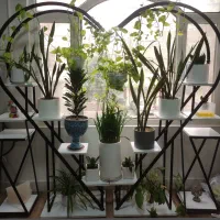 استند گل طرح قلب