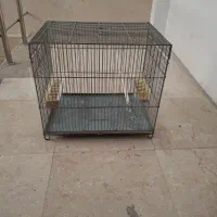 قفس قناری غلامی اصل