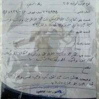 ۲۰۶ تیپ ۲|خودرو سواری و وانت|قم, سالاریه|دیوار