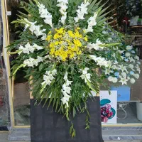 سبد گل|گل مصنوعی|ارومیه, |دیوار