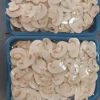 قارچ فله و بسته بندی|خوردنی و آشامیدنی|تهران, قناتکوثر|دیوار