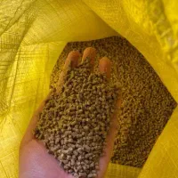 فروش خوراک ماهی گرمابی کپور