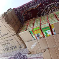 ترقه بی خطر|اسباب‌‌بازی|اردبیل, |دیوار