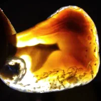 سنگهای قیمتی.امیتیس.یشم.عقیق