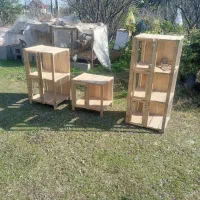 جفتگاه کبوتر