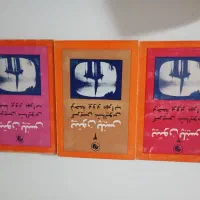 کتاب پیتون پلیس