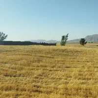 فروش زمین کشاورزی وباغی