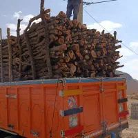 خرید انواع چوب باغی به صورت عمده|خدمات باغبانی و درختکاری|شیراز, بازار|دیوار